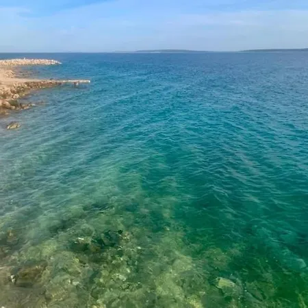 酒店 贝尔维德尔酒店 帕格