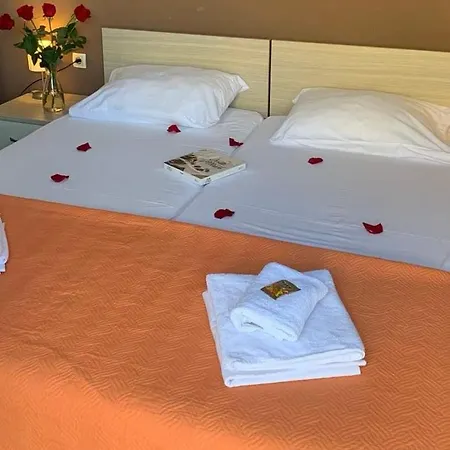 贝尔维德尔酒店 酒店