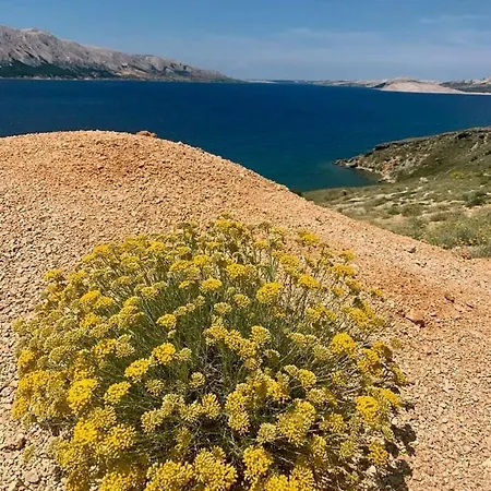 贝尔维德尔酒店 酒店 3*