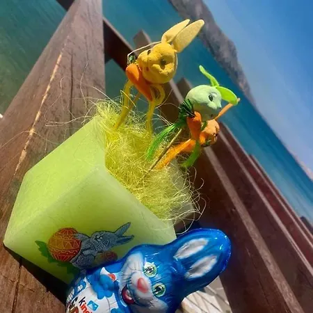 酒店 贝尔维德尔酒店