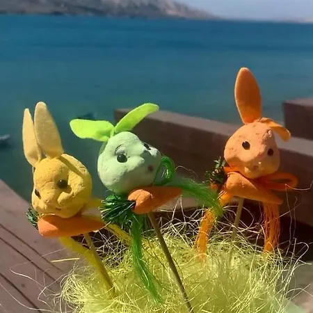 贝尔维德尔酒店 酒店 3*