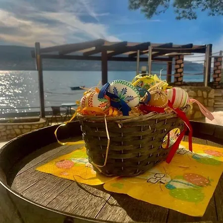 贝尔维德尔酒店 酒店