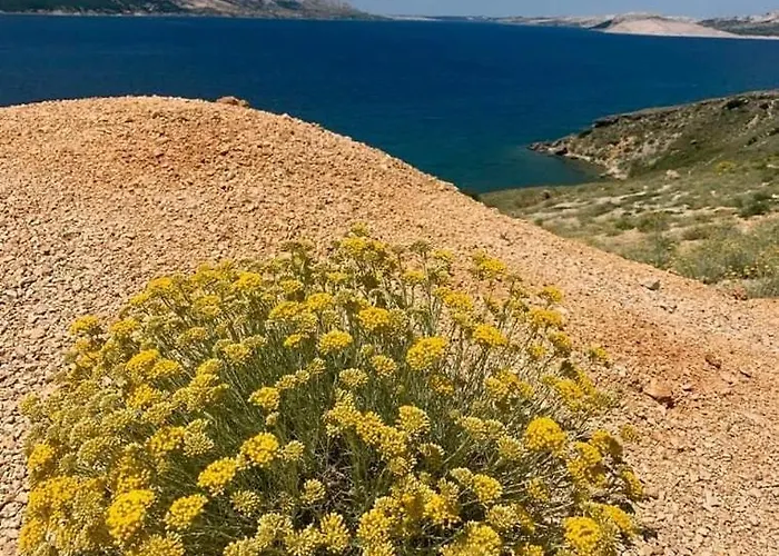 Belveder Szálloda 3*